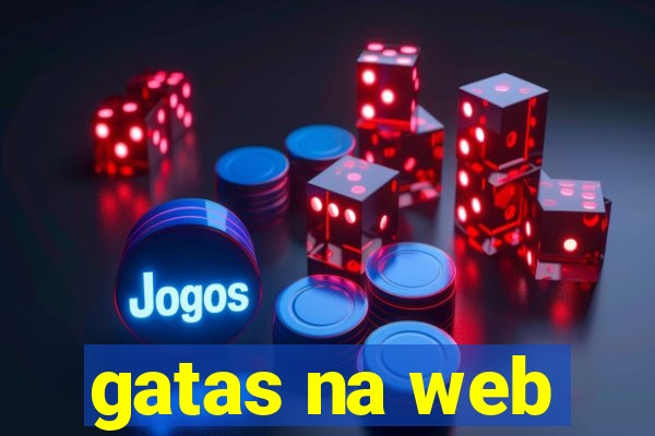 gatas na web